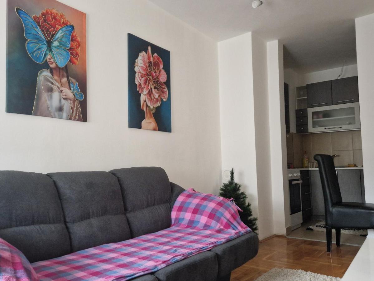 Centar S Apartment Nis Exterior photo